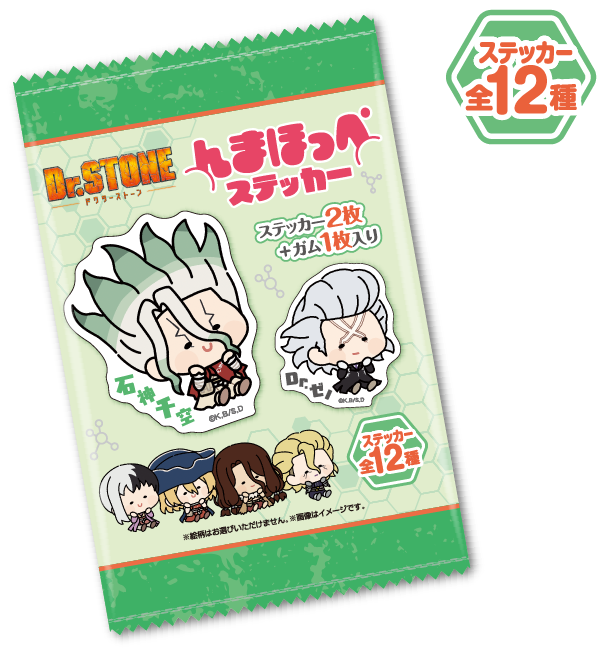 全12種